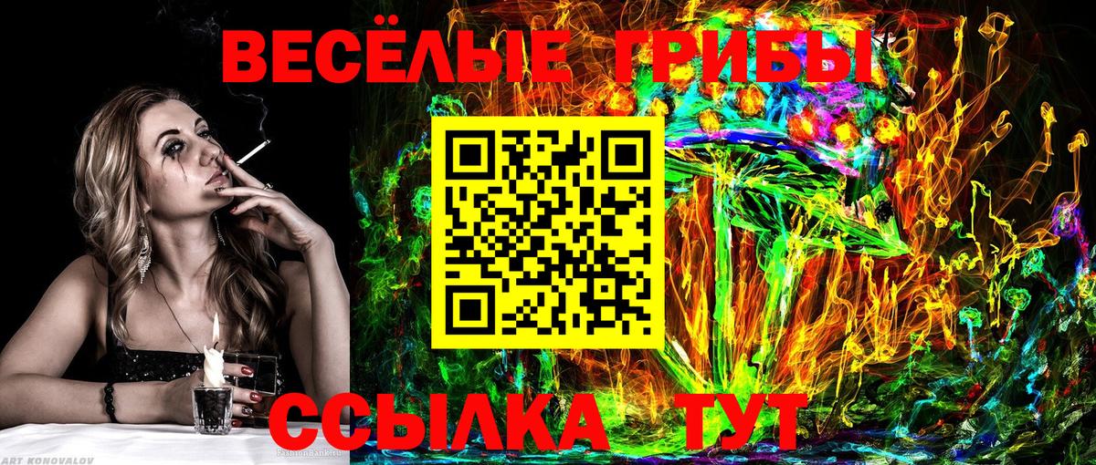 Псилоцибиновые грибы MAGIC MUSHROOMS Карасук